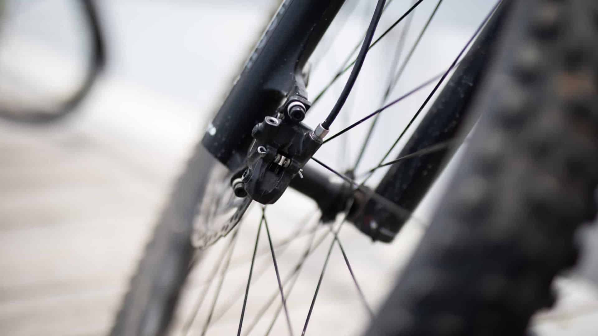 Bicycle Rims