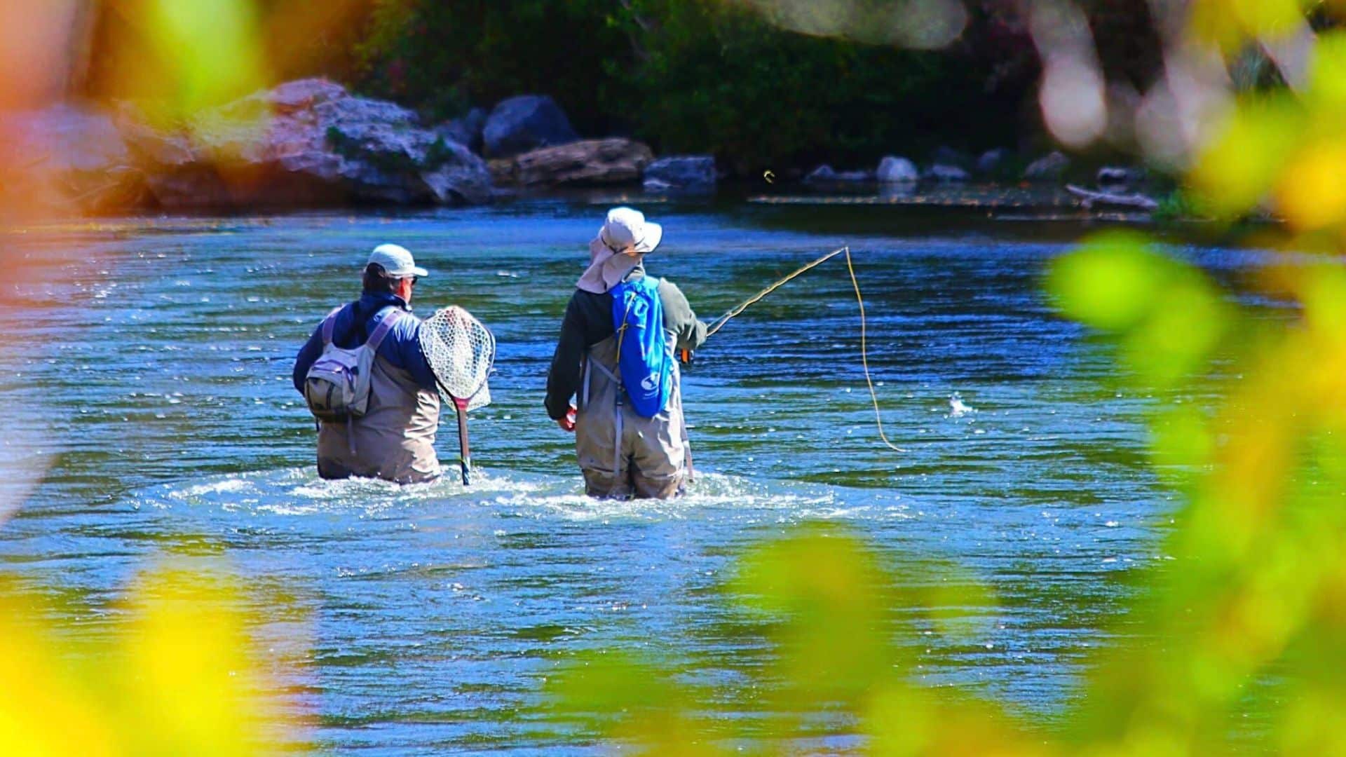 Fishing