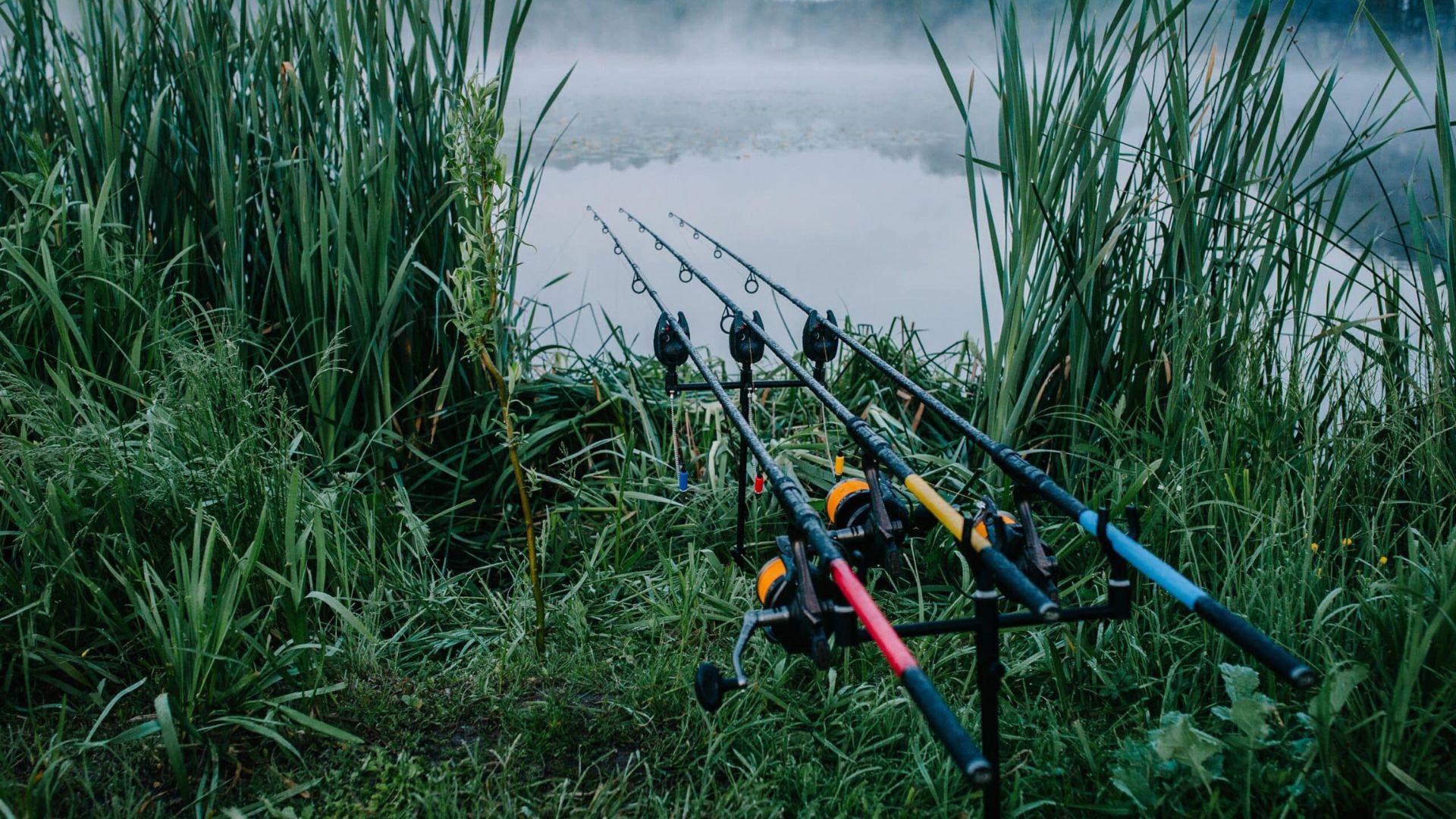 Rods